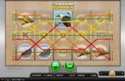 Endless Summer online Spielautomat