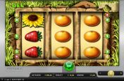 Merkur Honey Bee Geldspielautomat
